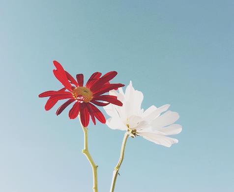 老年人要学会享受孤独，老年人怎么对待孤独的生活