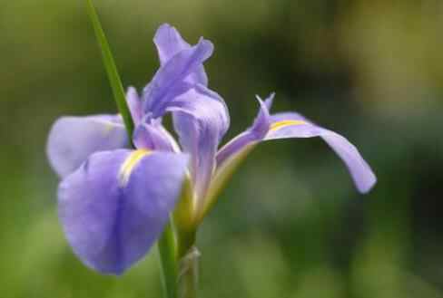 人到中年的五个转折,人到中年必须懂的五个原则