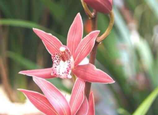 人到中年的五个转折,人到中年必须懂的五个原则