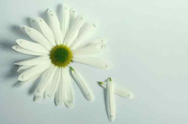 如何判断一个男人和两个女人暧昧