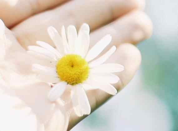 如何判断一个男人和两个女人暧昧