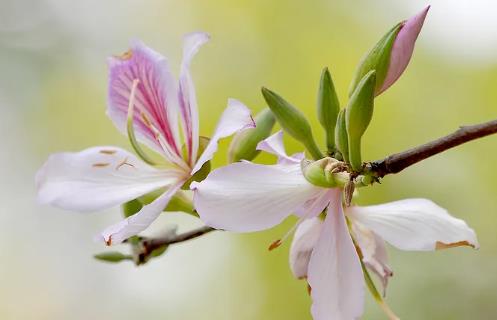 你爱的人不回应你时最好的做法,怎么让你爱的人回应你的爱