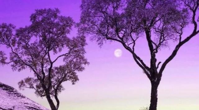 你爱的人不回应你时最好的做法,怎么让你爱的人回应你的爱