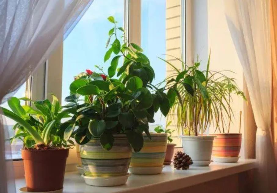 五十岁女人爱做三件事,五十岁女人最不该做的三件事