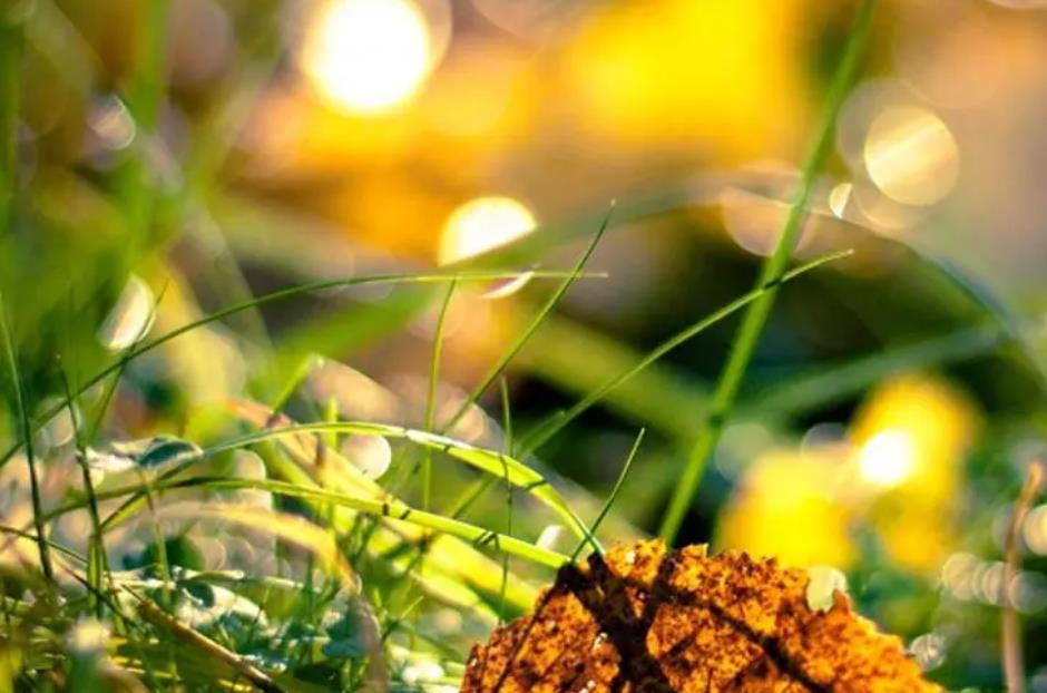 五十岁女人爱做三件事,五十岁女人最不该做的三件事