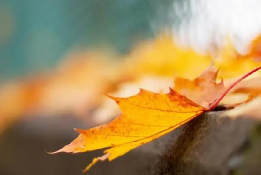 五十岁女人爱做三件事,五十岁女人最不该做的三件事