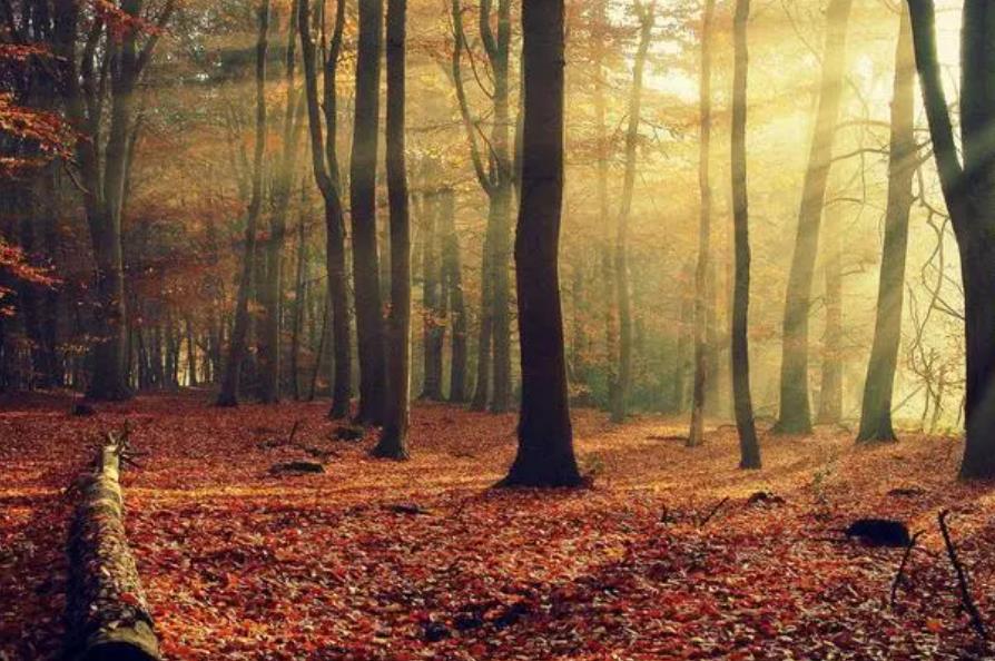 五十岁女人爱做三件事,五十岁女人最不该做的三件事