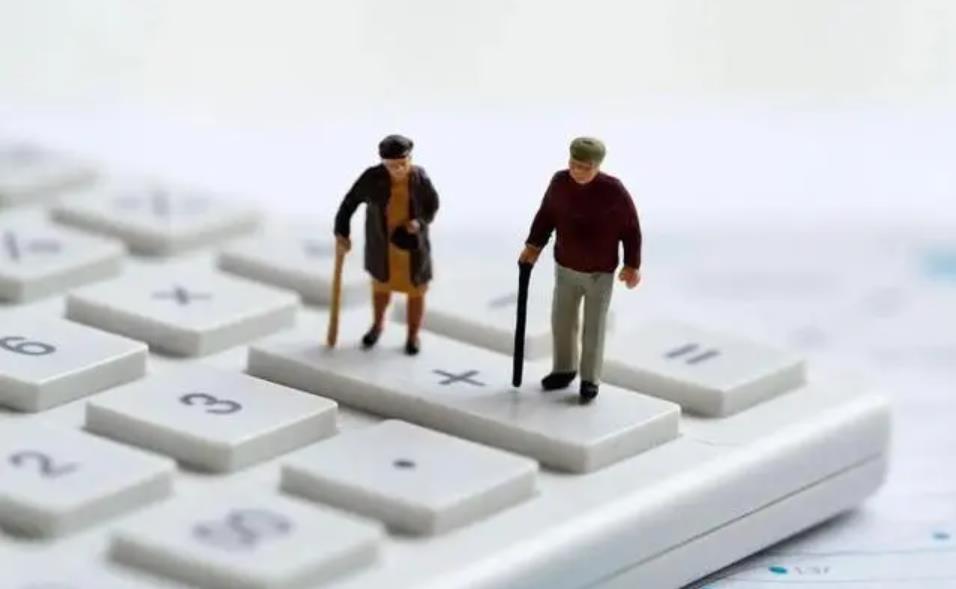 同居式养老是什么意思，新型同居式养老适合什么样的老年人