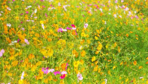 喜欢秒回的是什么人,喜欢秒回多半是这三种人