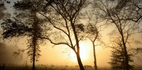 不感兴趣的话题怎么回应,男朋友说的话不感兴趣怎么回复好