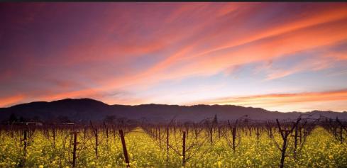 不感兴趣的话题怎么回应,男朋友说的话不感兴趣怎么回复好