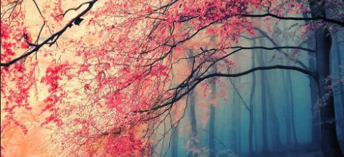 不感兴趣的话题怎么回应,男朋友说的话不感兴趣怎么回复好