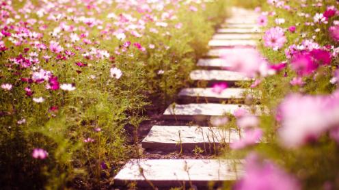 怎么做不表白就能确定关系，不表白就能确定关系的4个绝招