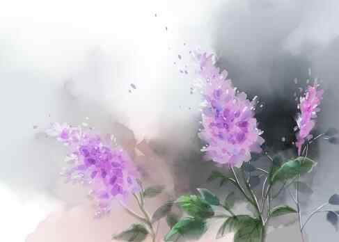 为什么不能跟岳母走太近,跟岳母走太近好吗