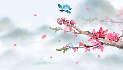 为什么不能跟岳母走太近,跟岳母走太近好吗