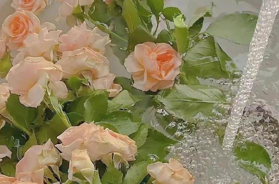 皮婚纪念日送老公什么礼物，皮婚是代表结婚多少年