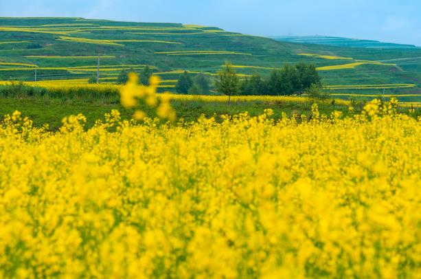 女人喊男人坏蛋啥意思,男人对认识的女人吹口哨什么意思