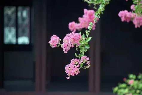 中老年人婚恋为何难做到两情相悦，老年人二次婚姻要经历哪几个阶段