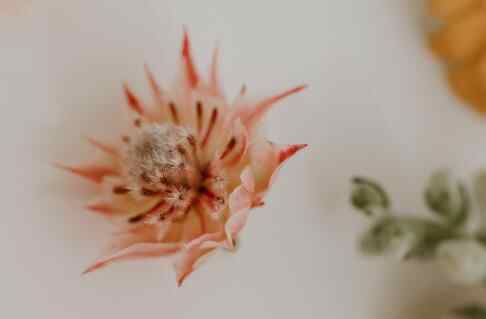 两人前世夫妻的特征,两口子前世是什么关系