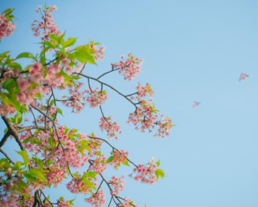 前妻想复婚的十大表现，不建议复婚的几种情况