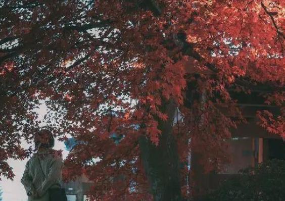 怎样才算爱到骨子里，爱到骨子里是什么表现