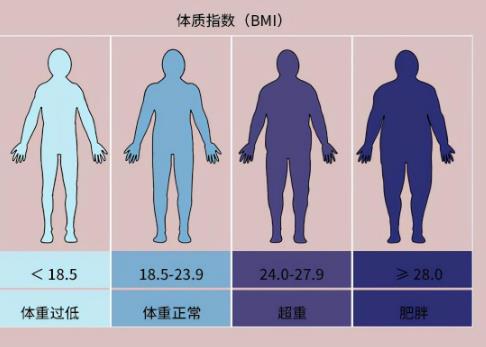 女性bmi越大越好吗，女性bmi指数对照表图片