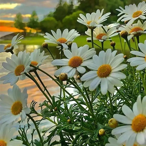 少年老成的五大特征,年纪轻轻思想境界极高的原因