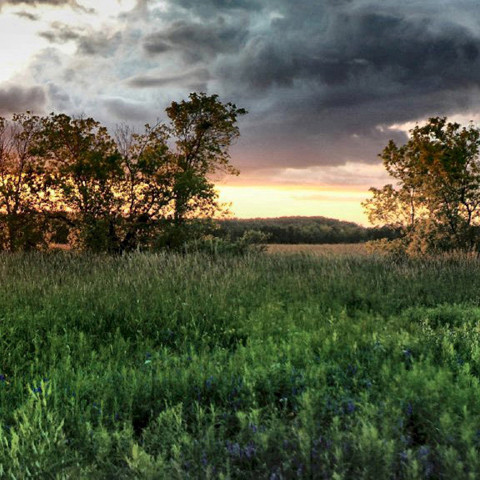 少年老成的五大特征,年纪轻轻思想境界极高的原因