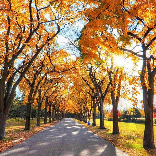 少年老成的五大特征,年纪轻轻思想境界极高的原因