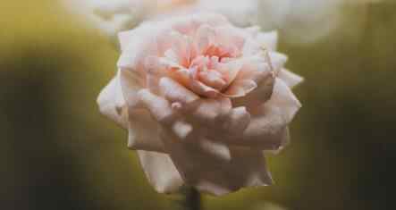 姐弟之间太过亲密正常吗,亲姐弟在一起需要避嫌吗