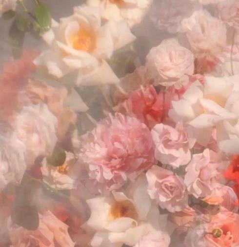 为什么寡妇最怕光棍,为什么寡妇都长寿的多呢