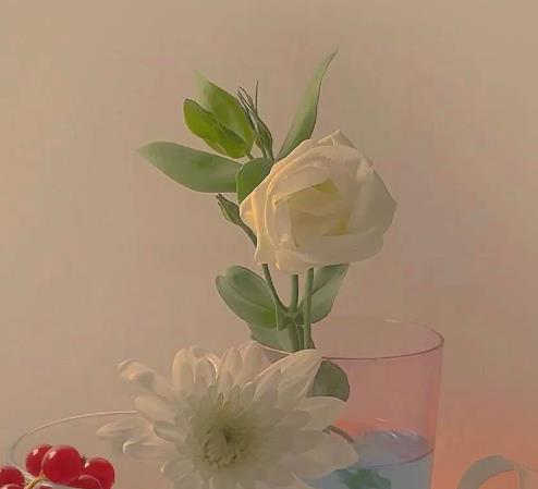 为什么寡妇最怕光棍,为什么寡妇都长寿的多呢