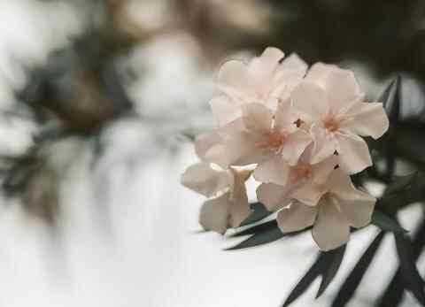 娘家亲戚一般走几代，亲戚之间真的是往来不超过三代吗