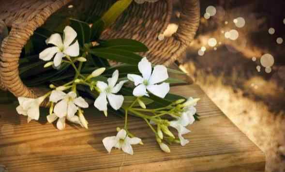 男人嗓门大是什么品行,天生嗓门大的男人的特点