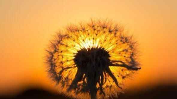 男人嗓门大是什么品行,天生嗓门大的男人的特点