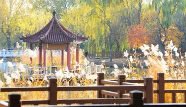 人到中年为什么要有防备心，中老年夫妻为什么要防备半路出现的异性