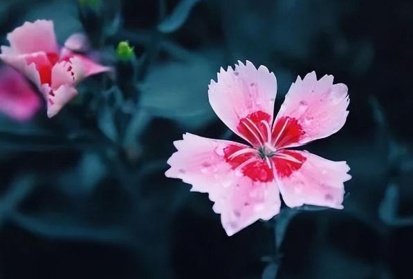 越优质的男人越不喜欢这几种女人，什么样的女人优质男人越不喜欢