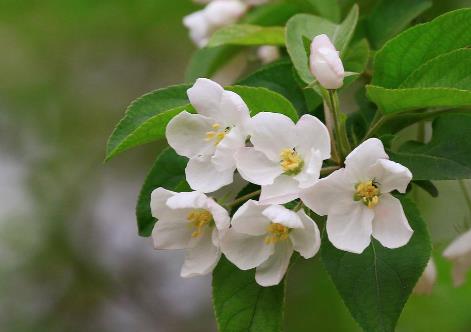 大笔横财意外降临的人特点,大笔横财将近的预兆