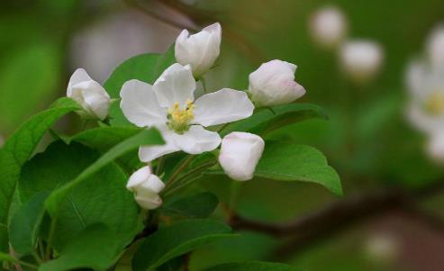 大笔横财意外降临的人特点,大笔横财将近的预兆