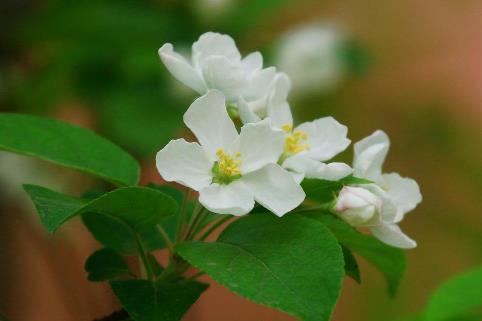 大笔横财意外降临的人特点,大笔横财将近的预兆