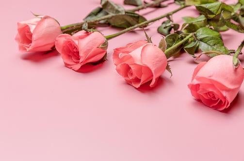 想你了怎么高情商表达，想女朋友的高情商情话