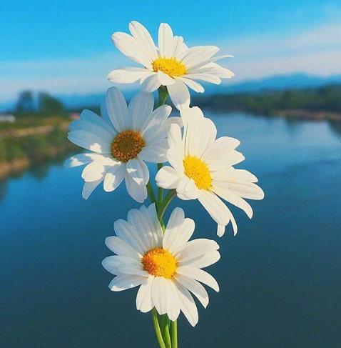 女人格局大气有深度的句子,女人有深度有涵养的句子