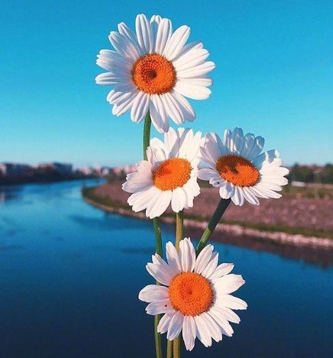 女人格局大气有深度的句子,女人有深度有涵养的句子