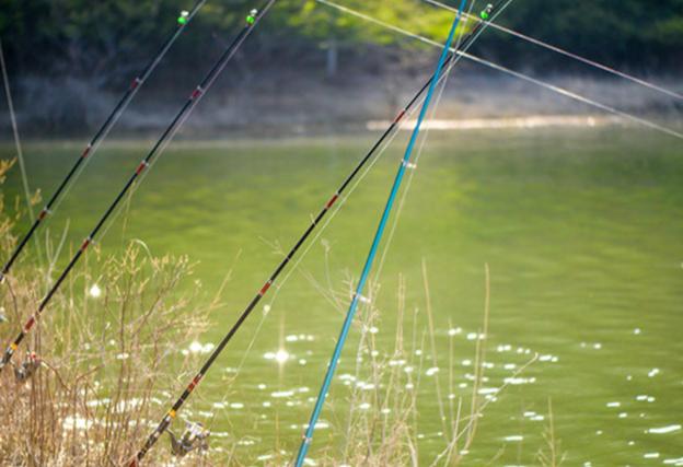 怎样挑选鱼竿，路亚鱼竿怎么选