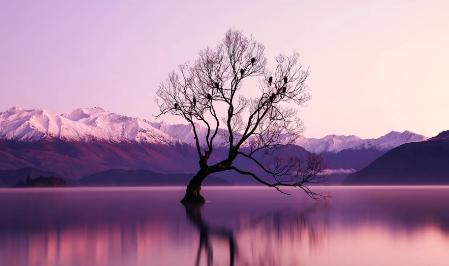 如何应对情绪化的人,碰到情绪化的人怎么办