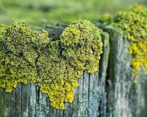 家中出贵人的预兆,家中出贵人的五大前兆