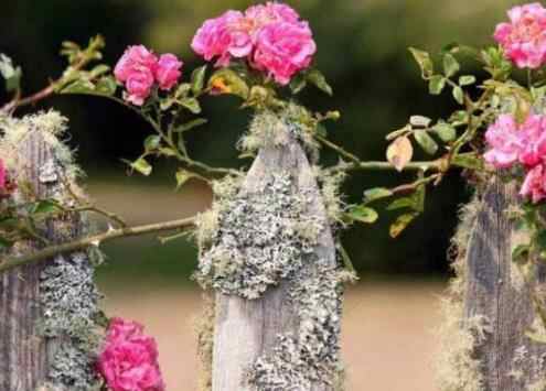 家中出贵人的预兆,家中出贵人的五大前兆