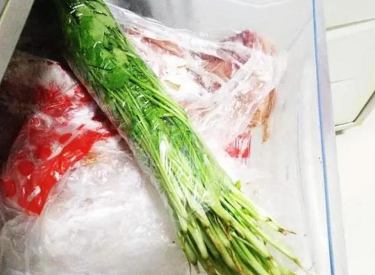 香菜怎么保存最新鲜又长久，香菜保存方法