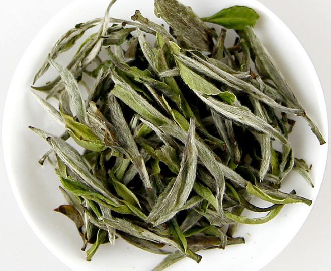 白茶适合什么季节喝，白茶哪个季节适合喝
