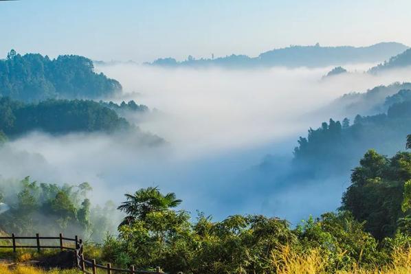 什么样的人心宽,为什么说人要心宽